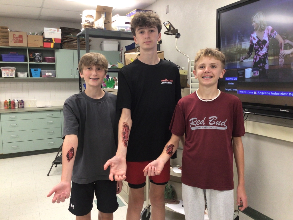8th grade art class fake wounds