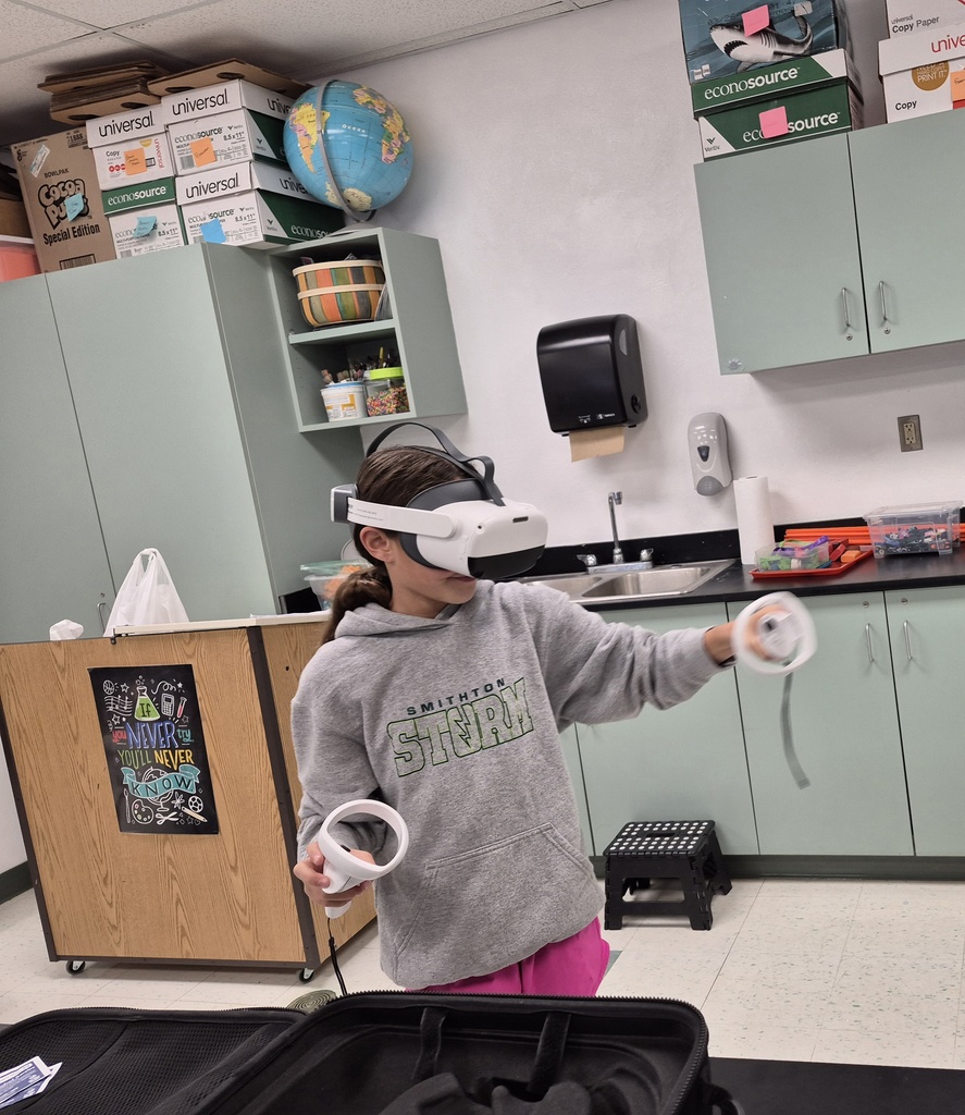 vr day stem