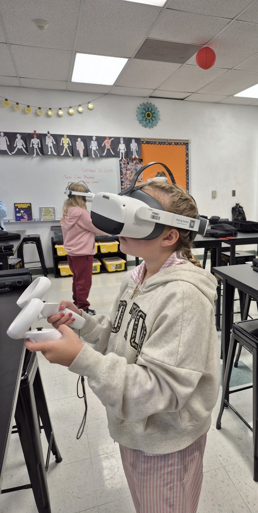 vr day stem