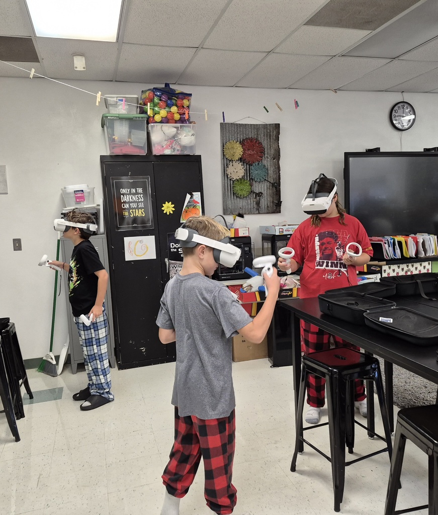 vr day stem