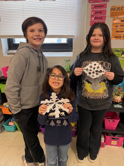 snow flakes stuhlsatz & servos