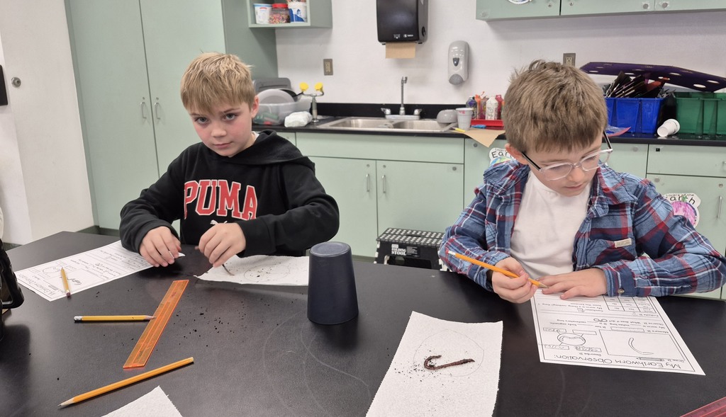 More fun in STEM this week...5th grade dissected owl pellets, 2nd grade observed earthworms and 6th grade made games from cardboard boxes.