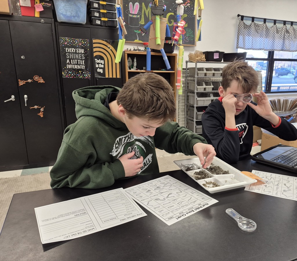 More fun in STEM this week...5th grade dissected owl pellets, 2nd grade observed earthworms and 6th grade made games from cardboard boxes.