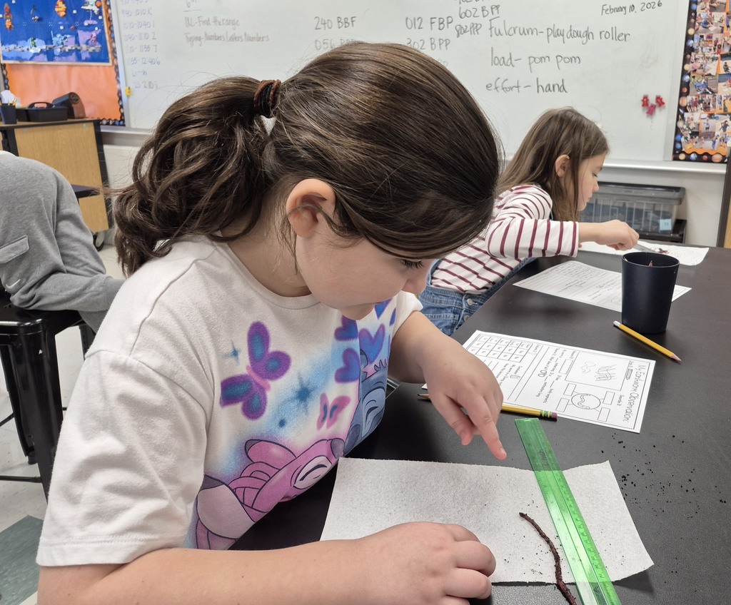 More fun in STEM this week...5th grade dissected owl pellets, 2nd grade observed earthworms and 6th grade made games from cardboard boxes.