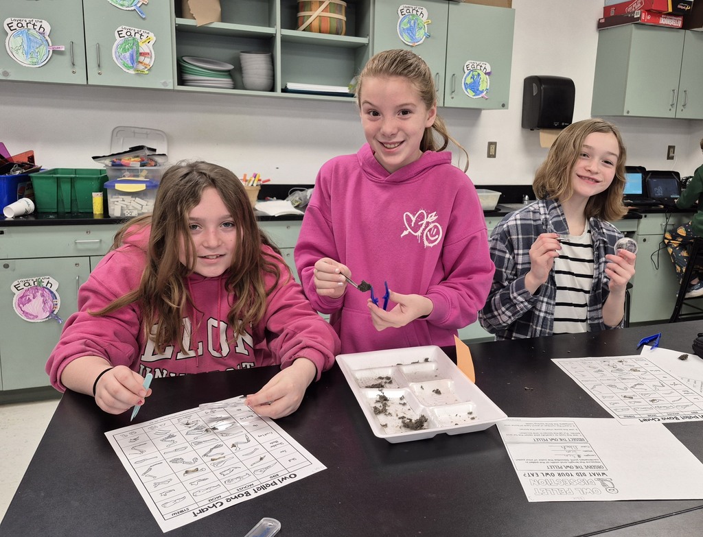 More fun in STEM this week...5th grade dissected owl pellets, 2nd grade observed earthworms and 6th grade made games from cardboard boxes.