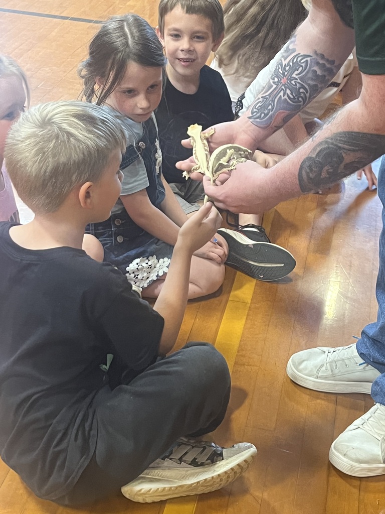 Reptiles