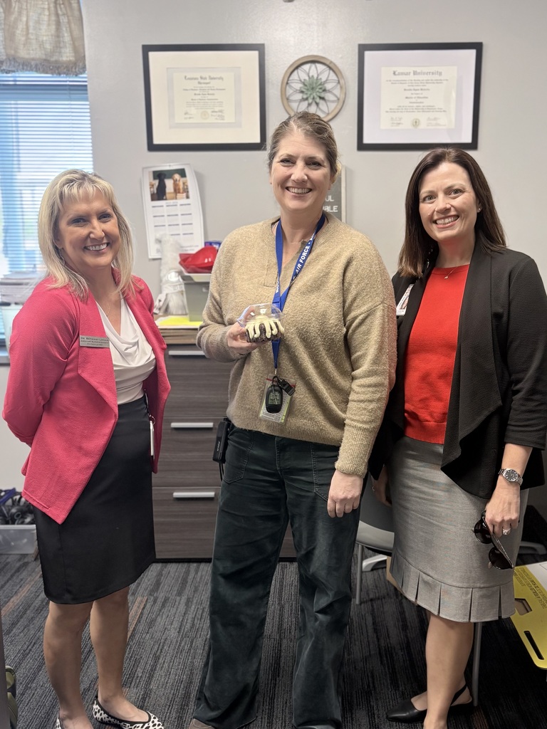 three ladies dressed in business attire