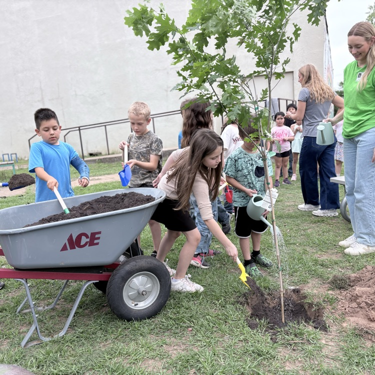 students planting a tree