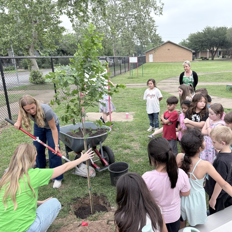 students helping plant a tree