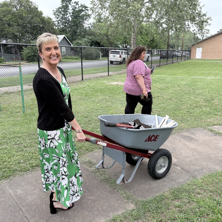 a women pushing a wheelbarrow 