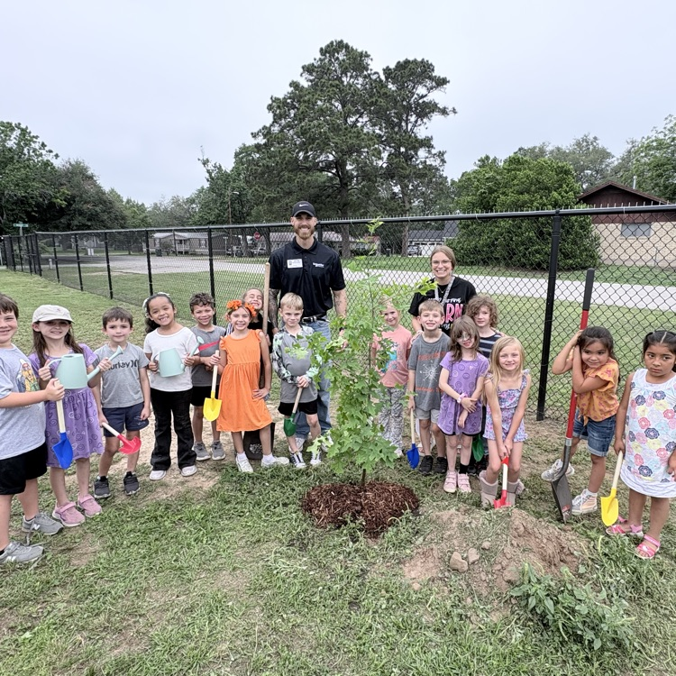 students standing in a line behind the tree they planted