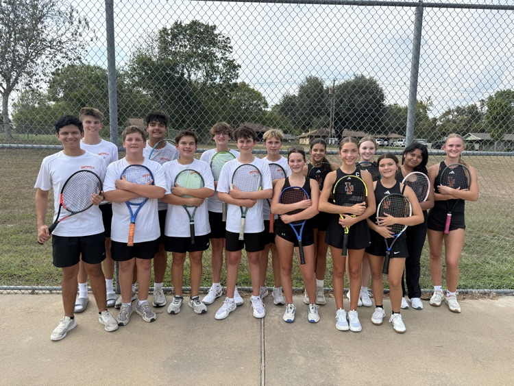 Tiger Tennis