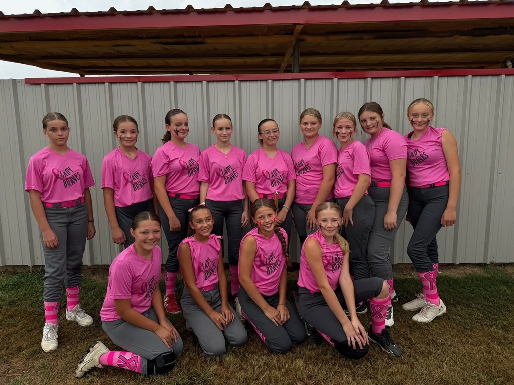 JH softball pink night team picture