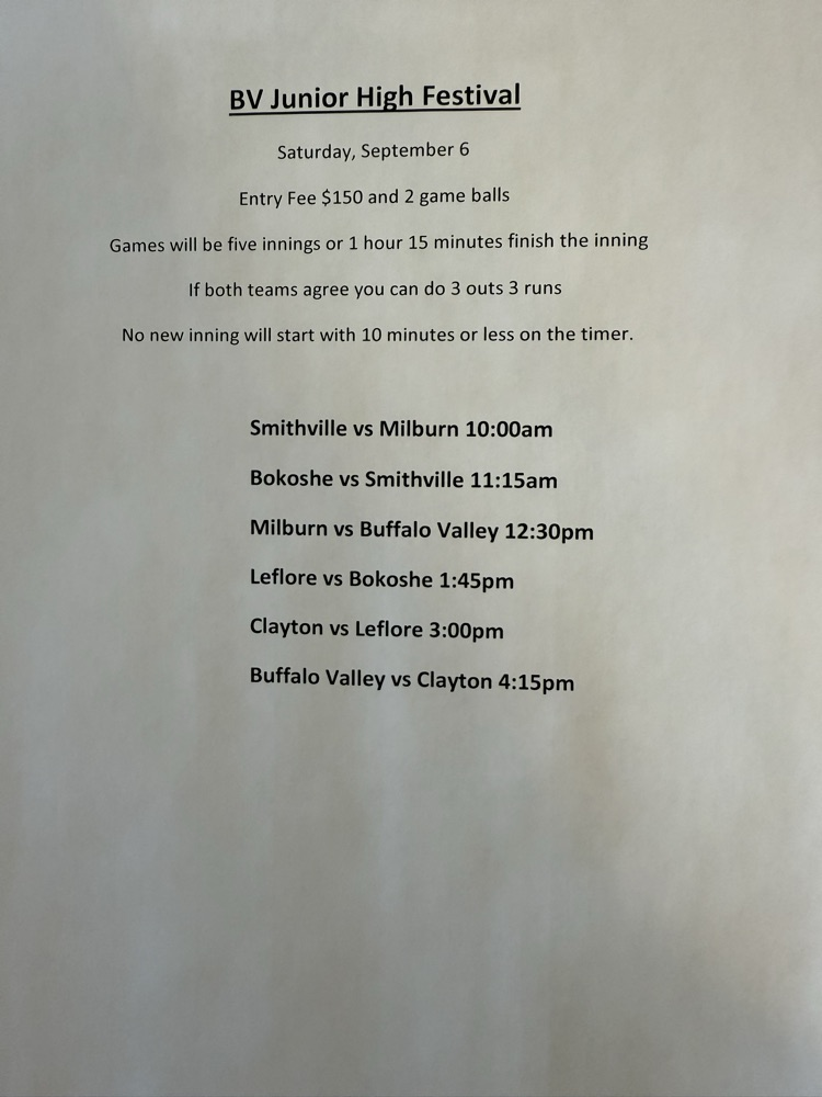 BV JH baseball festival 