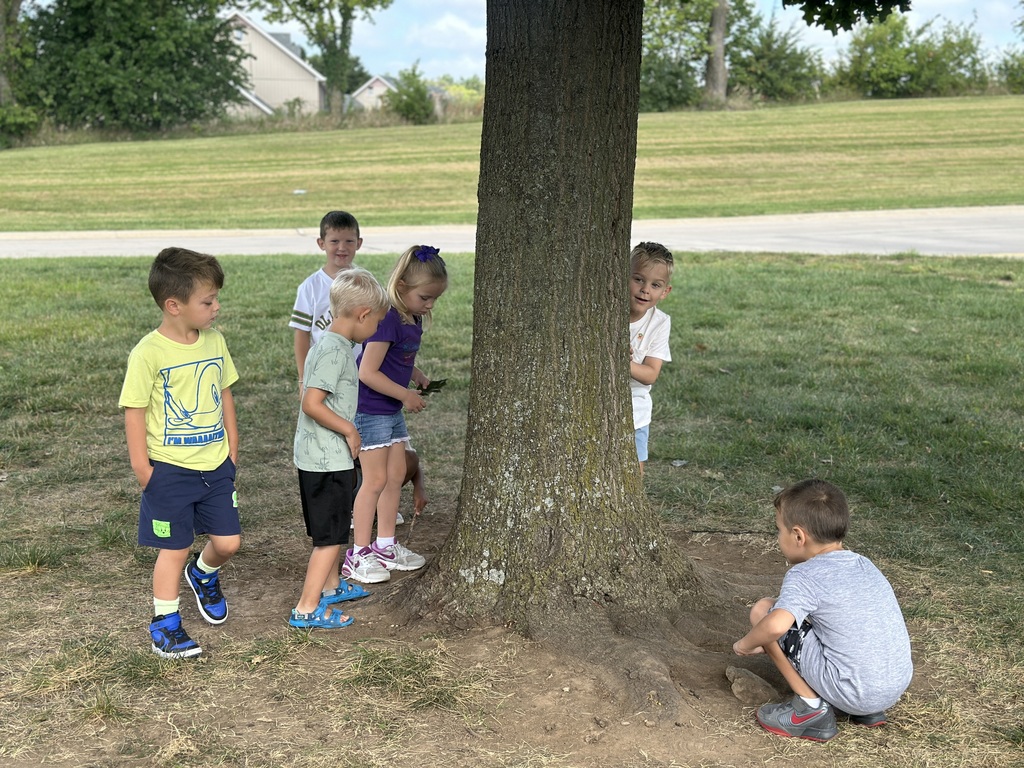 Kindergarteners playing around a tree