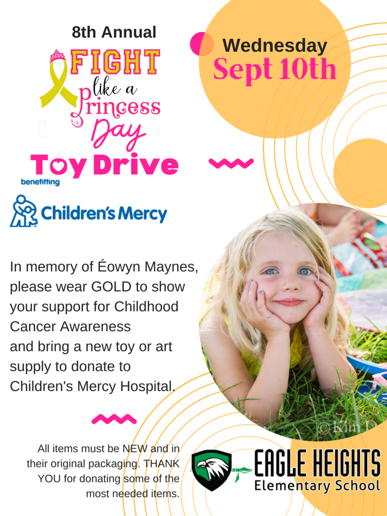 Fight Like a Princess Toy Drive