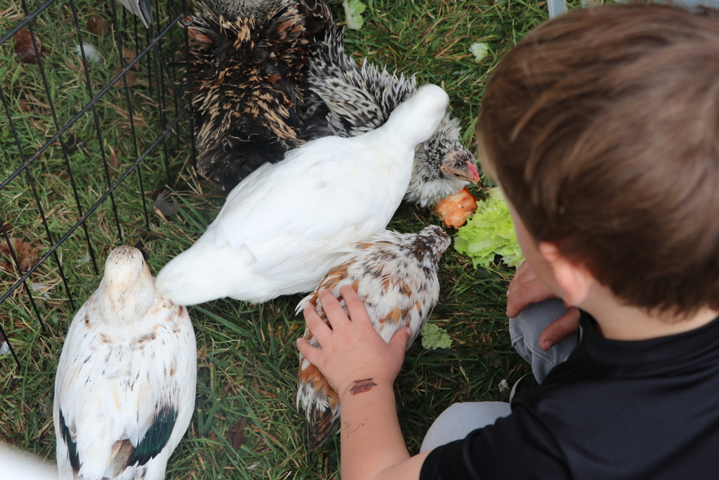  Horizon Elementary students got to explore many different animals for their fall party day.
