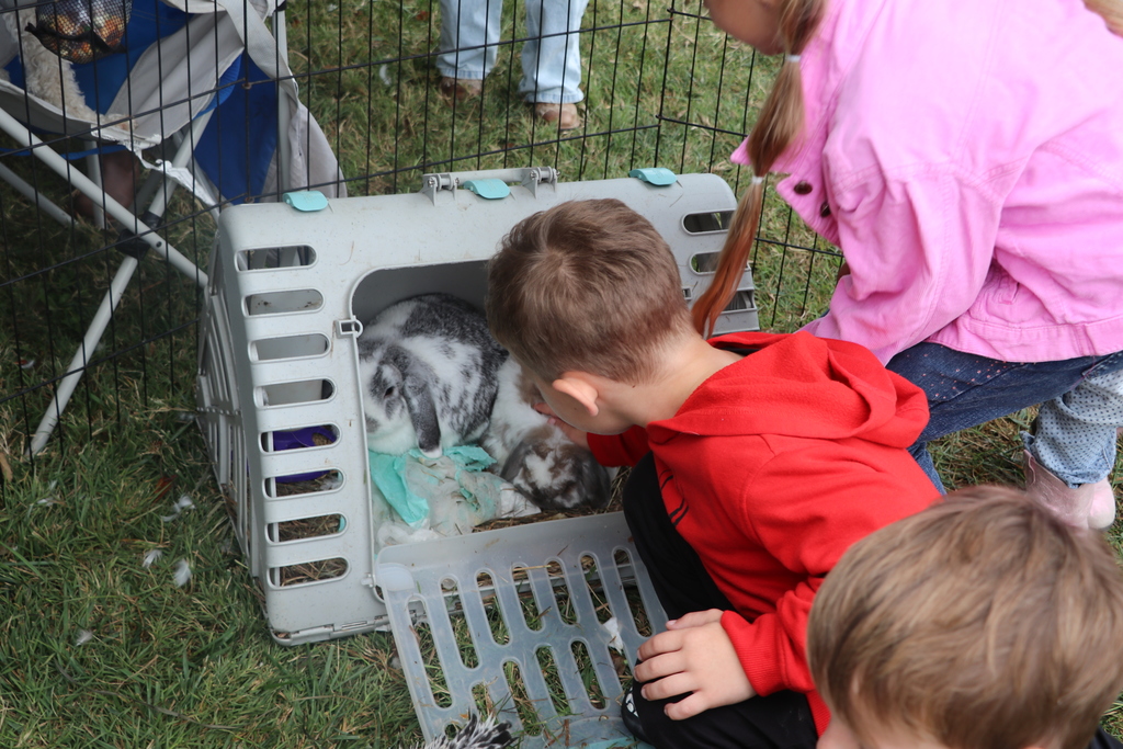  Horizon Elementary students got to explore many different animals for their fall party day.