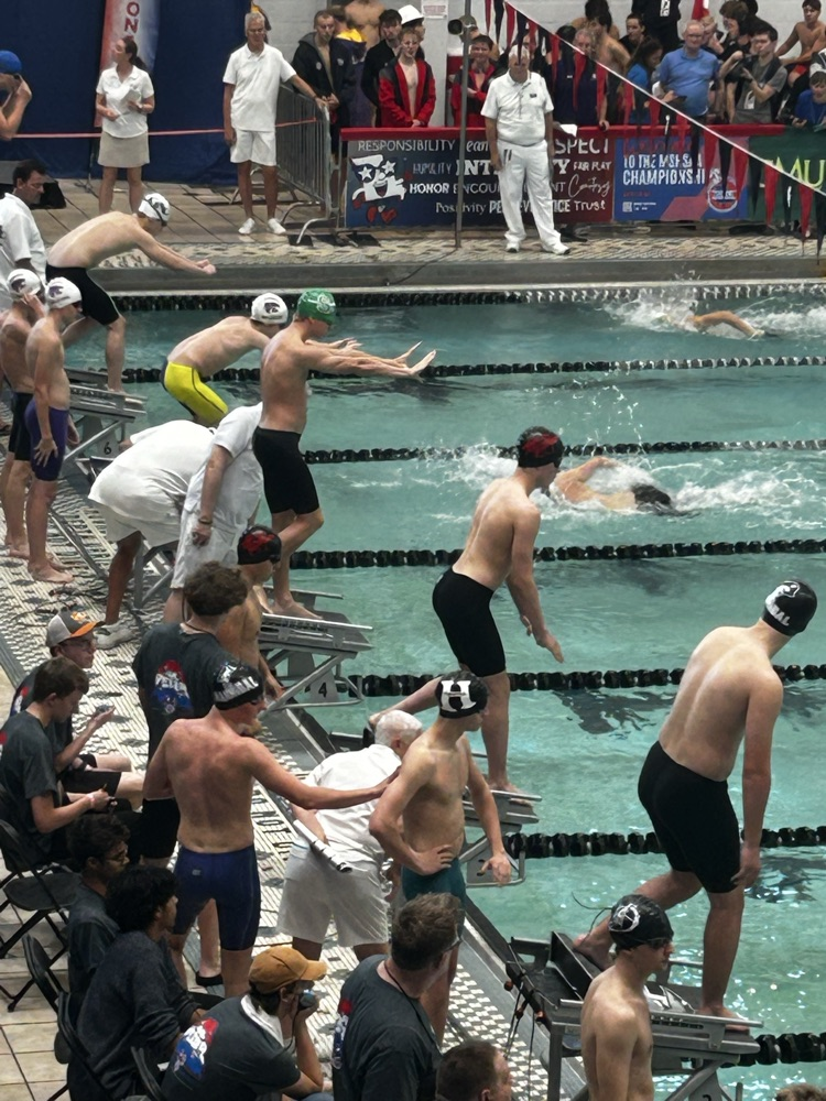 state swim