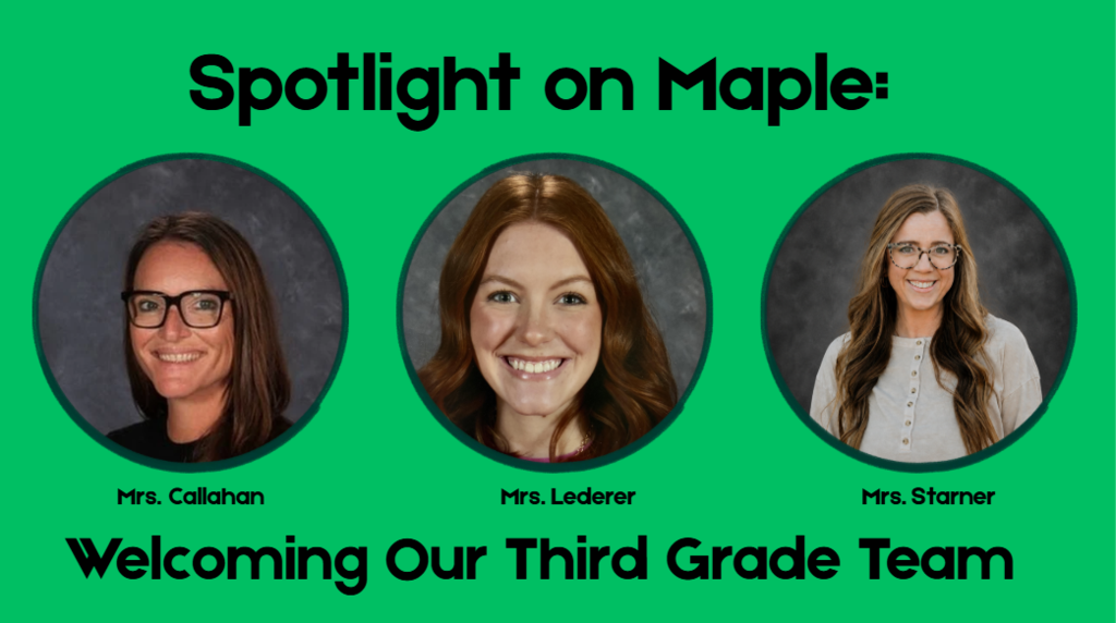 School Picture of third grade team