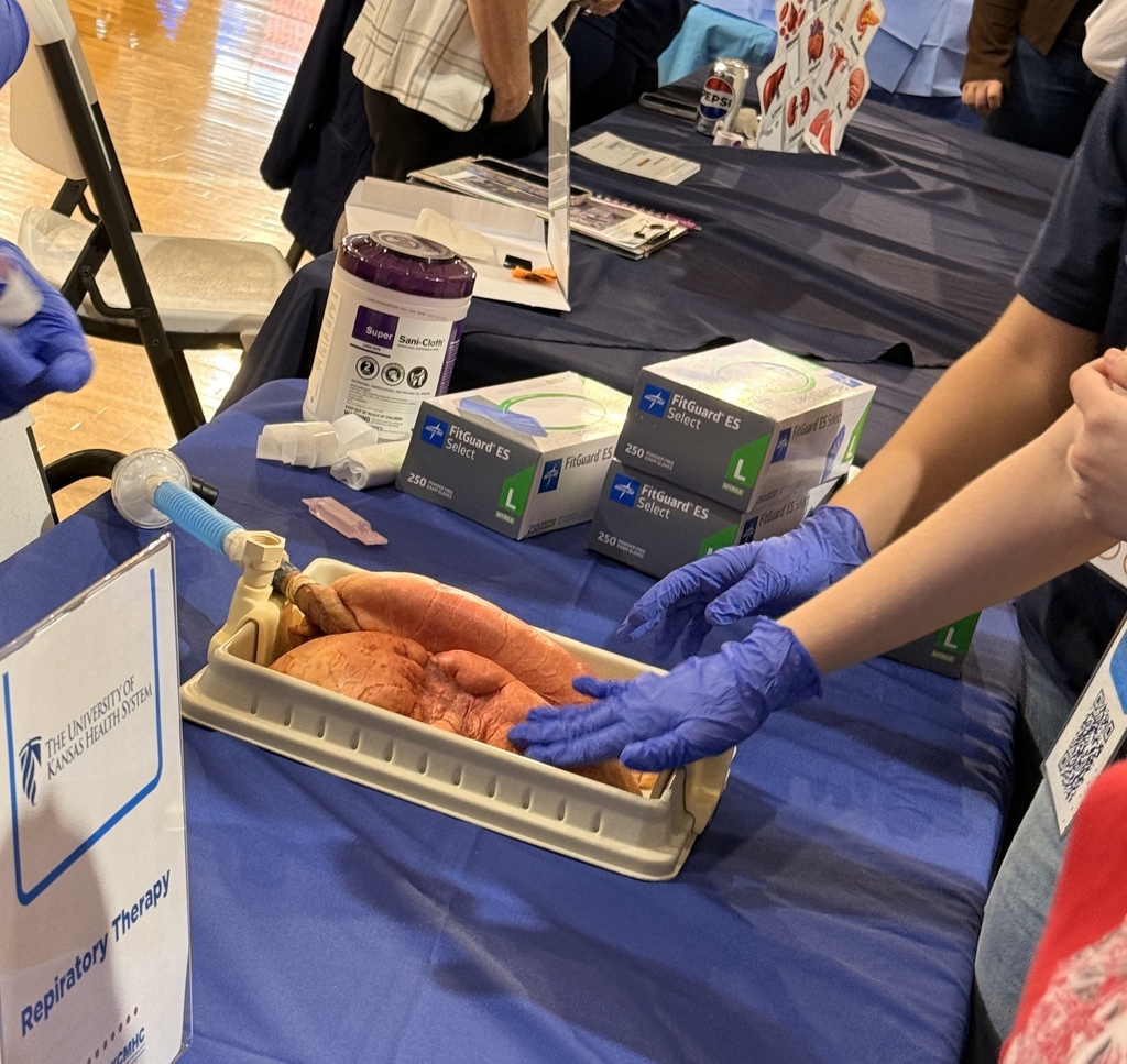 A biomedical student touches an organ,