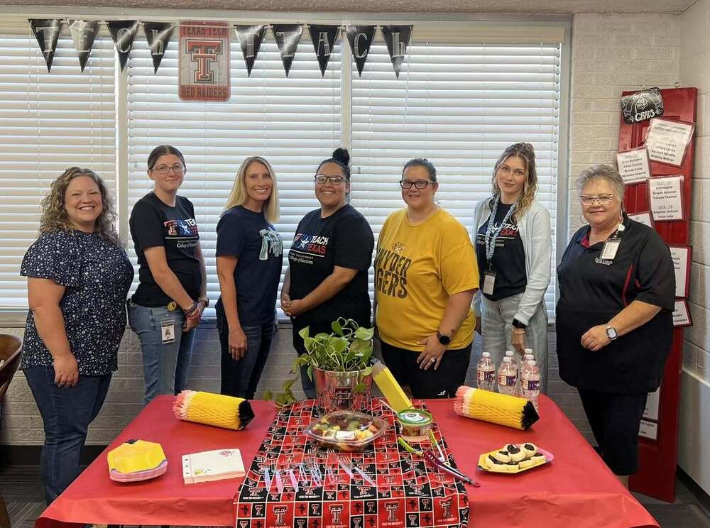 Tech teach teachers and their mentors