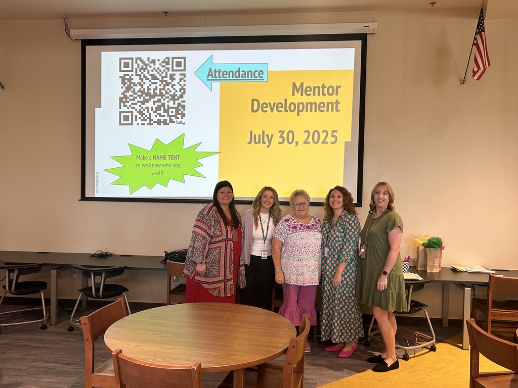 mentor meeting
