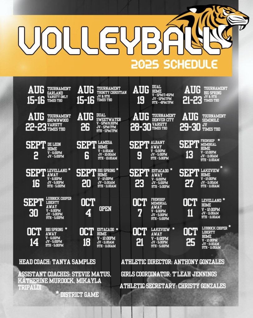 volleyball 