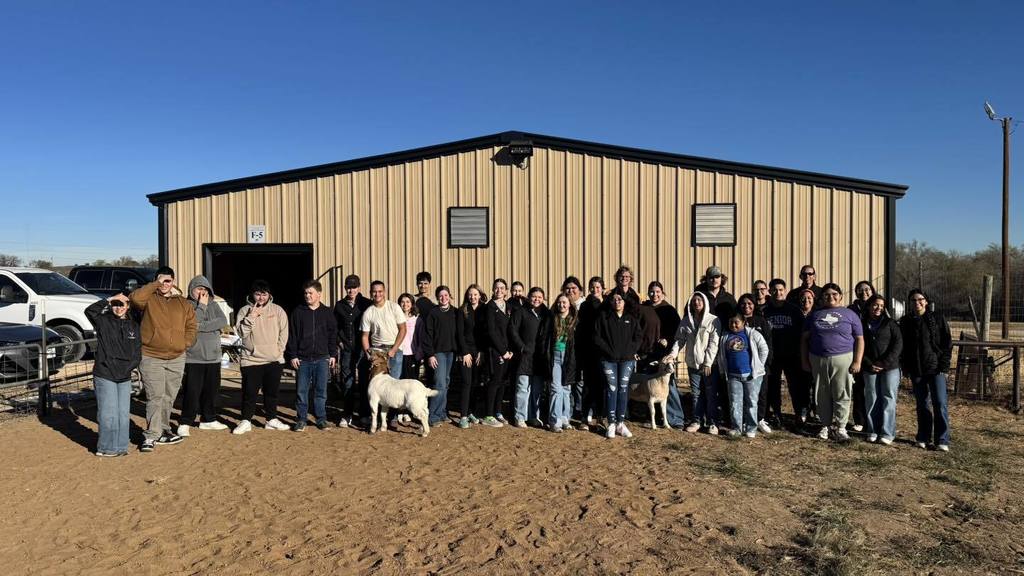 scurry starsscurry stars