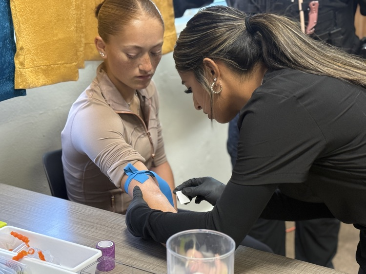 Photo of phlebotomy students practicing sticks on student volunteers