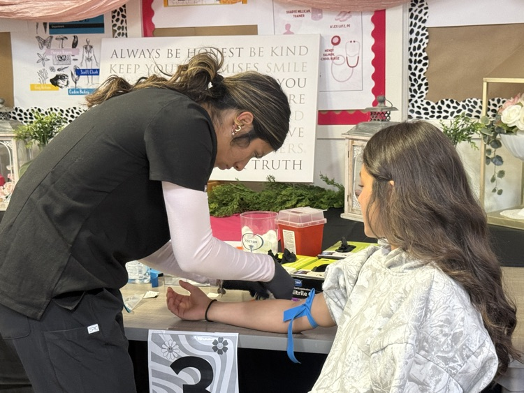 Photo of phlebotomy students practicing sticks on student volunteers
