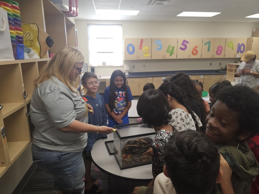students looking at hissing cockroaches