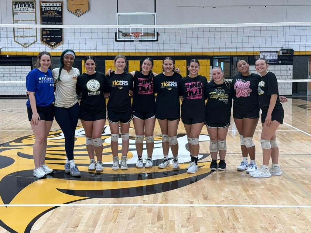 volleyball players