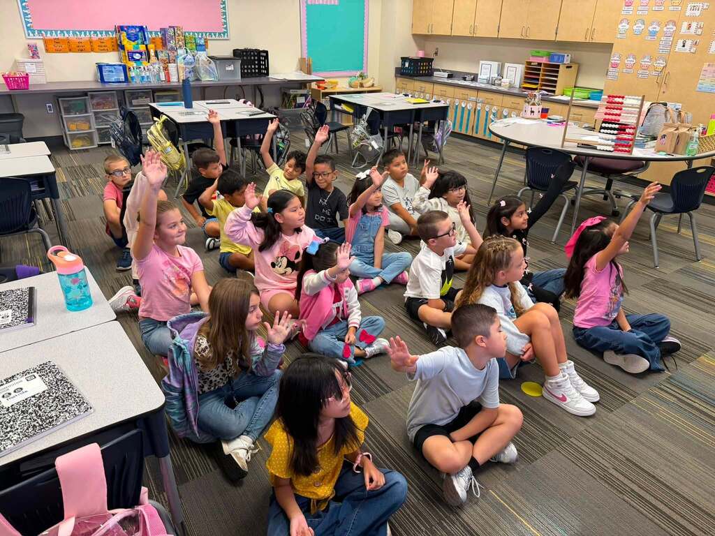 children raising hands in class