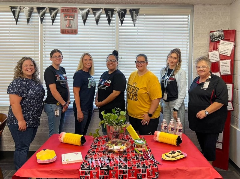 Tech teach teachers and their mentors
