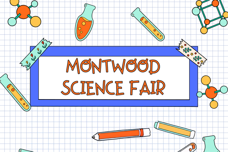 Montwood Science Fair