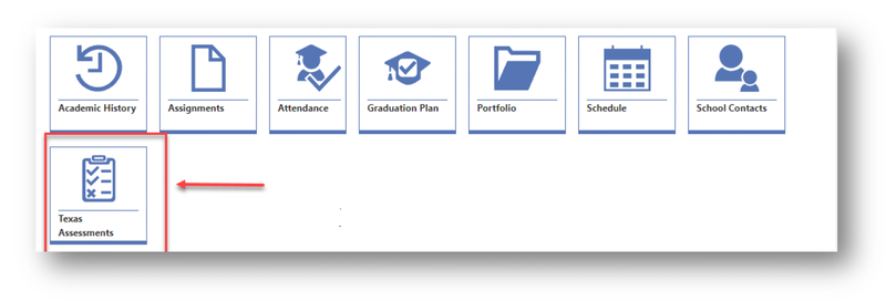 Icon graphic highlighting Texas Assessments