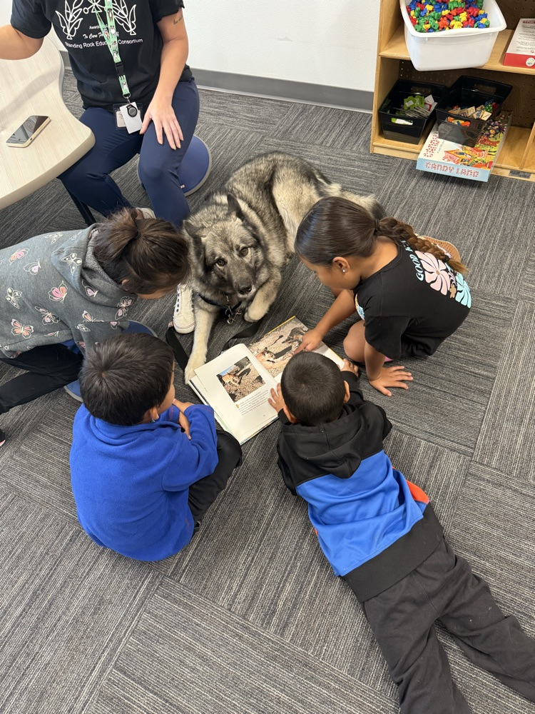 reading books