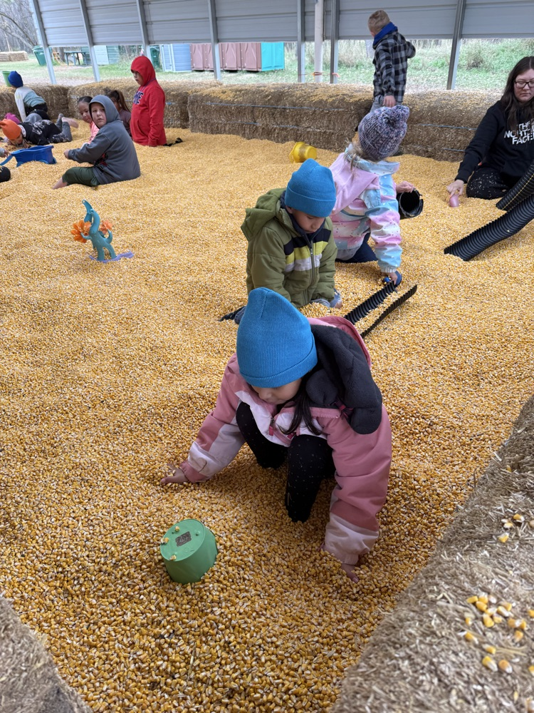 corn pit
