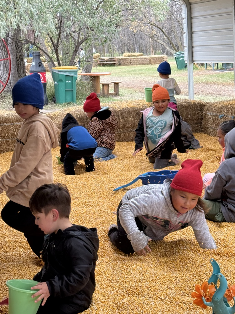 corn pit