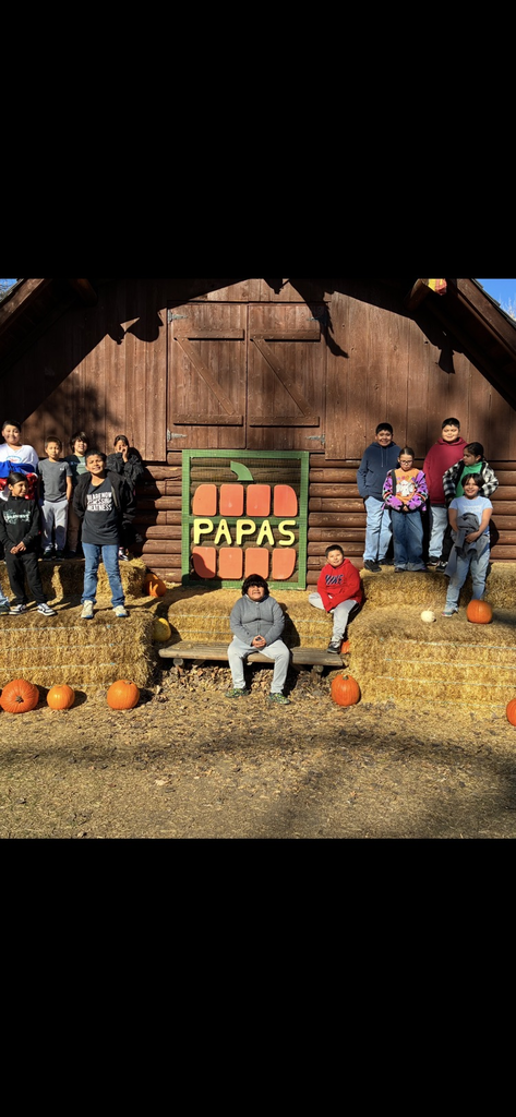 Pumpkin Patch 7