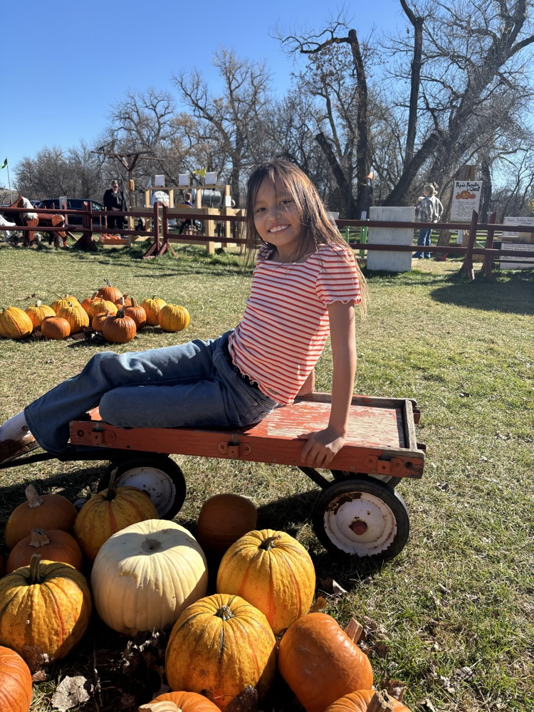 pumpkin patch