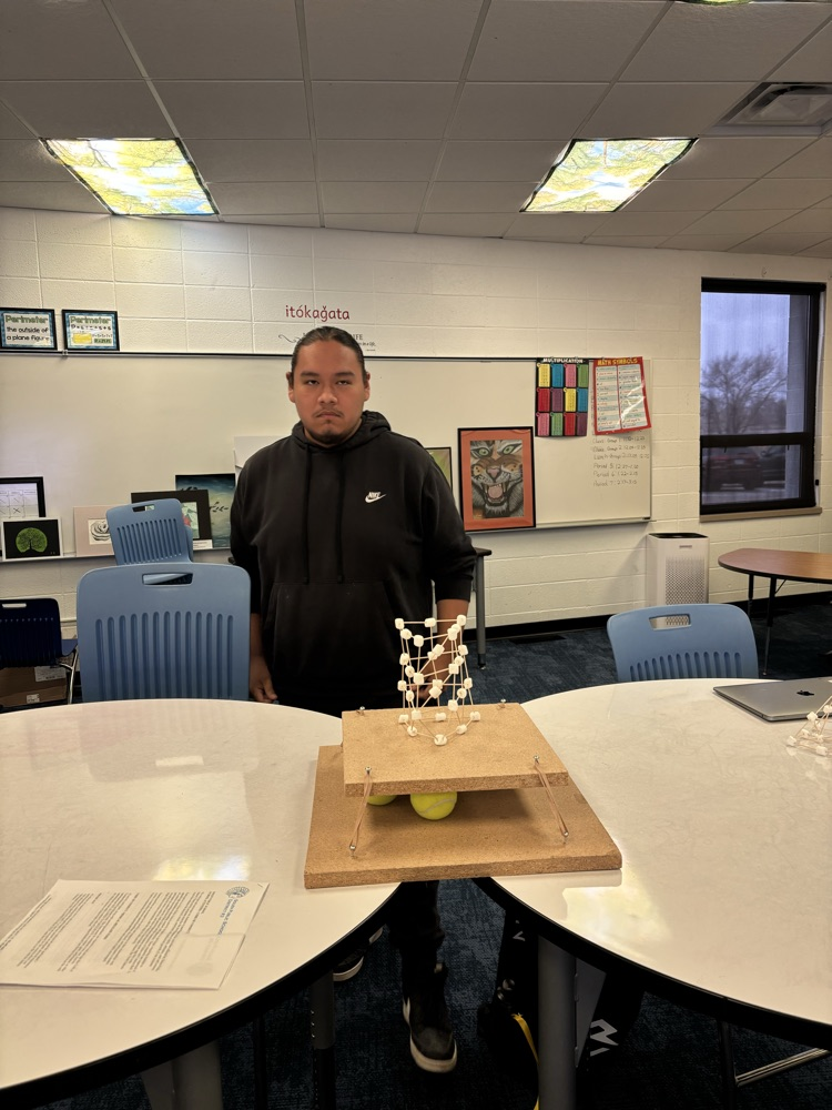 stepping up to the earthquake testing machine