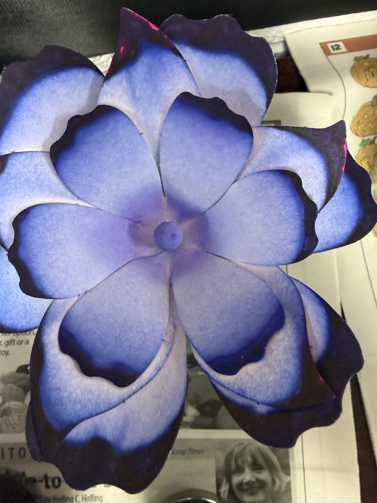 STEM watercolor flowers