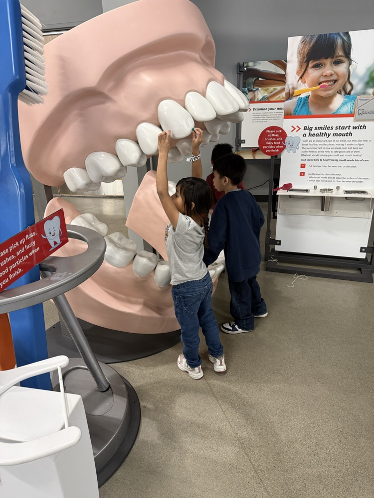 teeth cleaning 