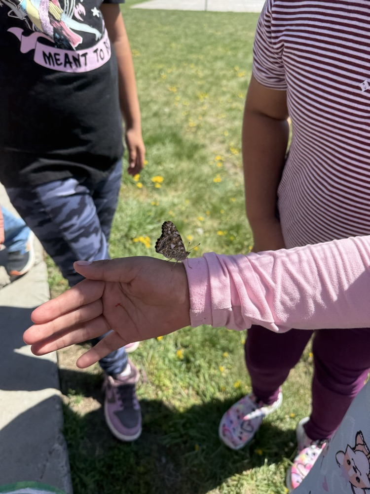 releasing