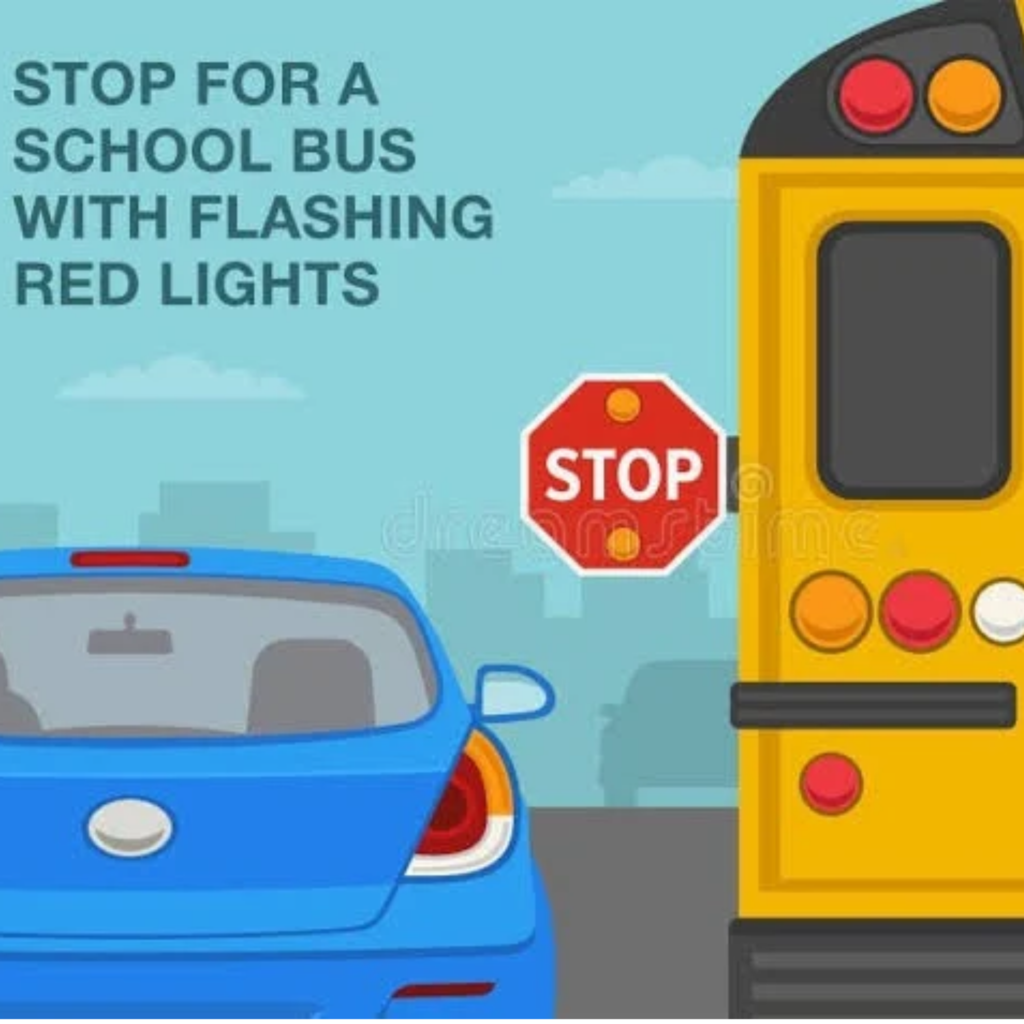 school bus law