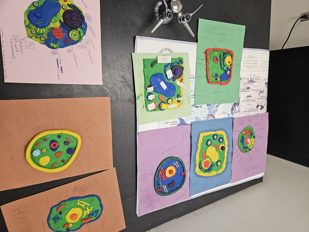 cell 1