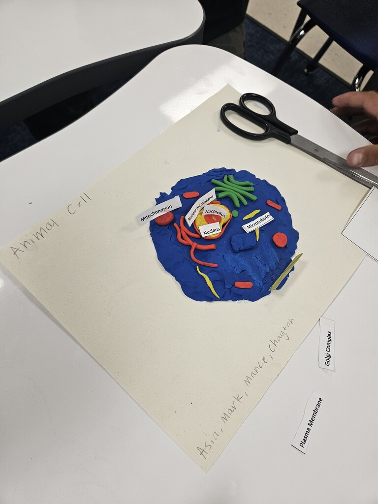cell 2