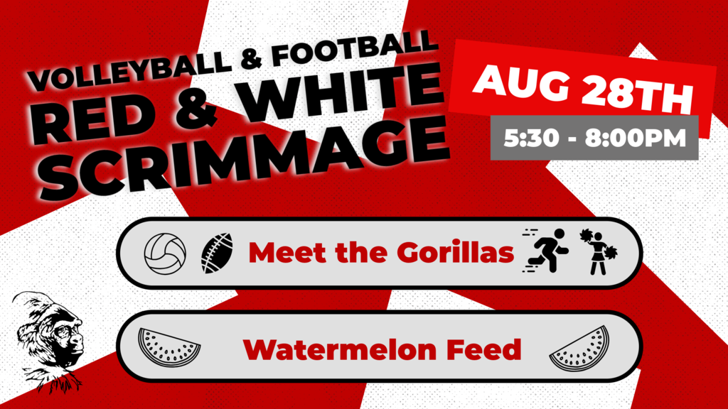 Scrimmage night